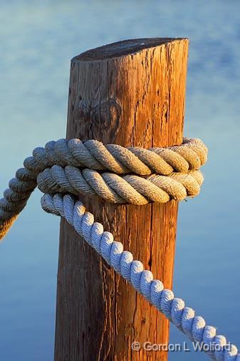 Piling & Rope_36981.jpg - Photographed in evening golden light along the Gulf coast near Port Lavaca, Texas, USA.